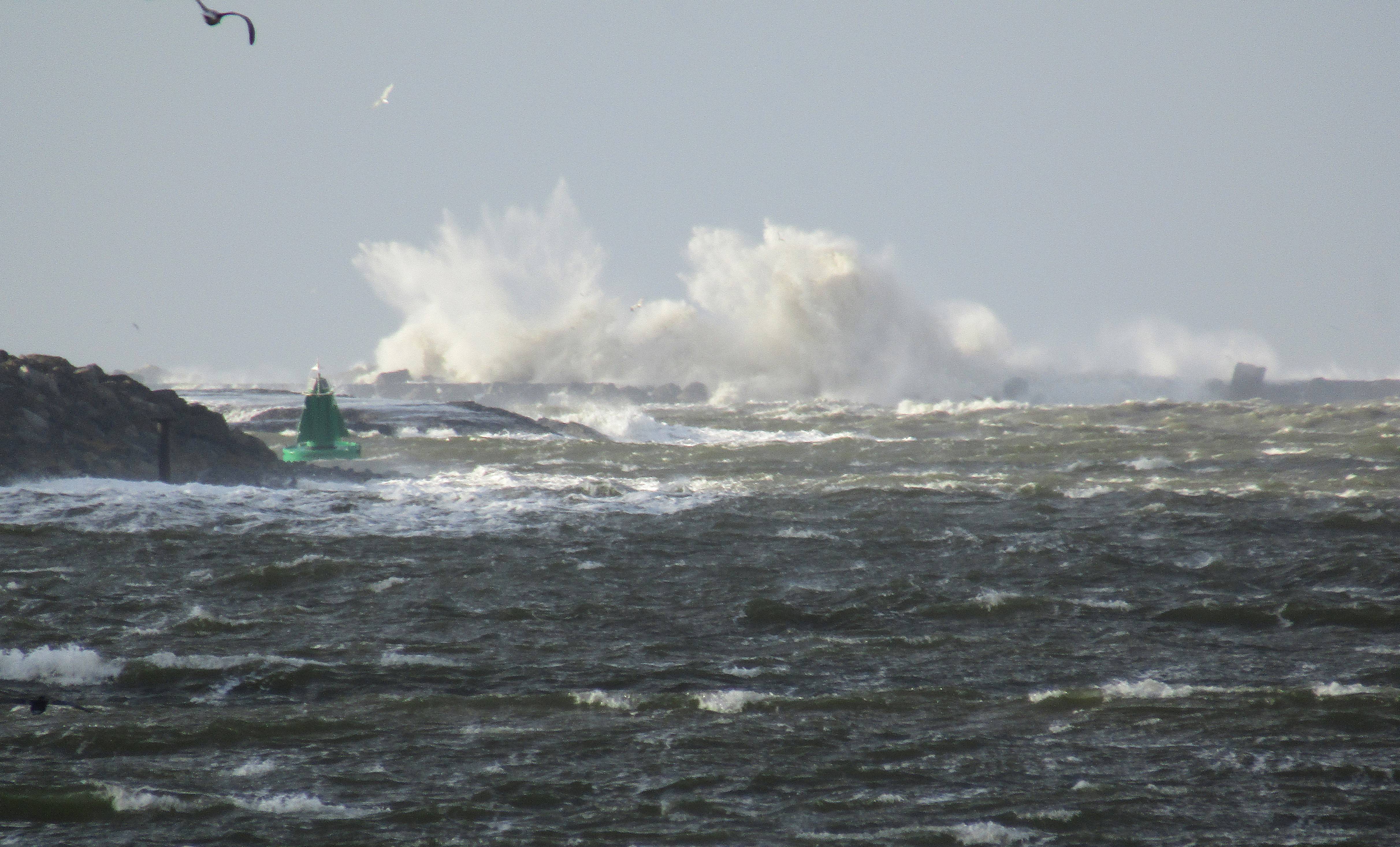 Pieren IJmuiden   22-12-24 